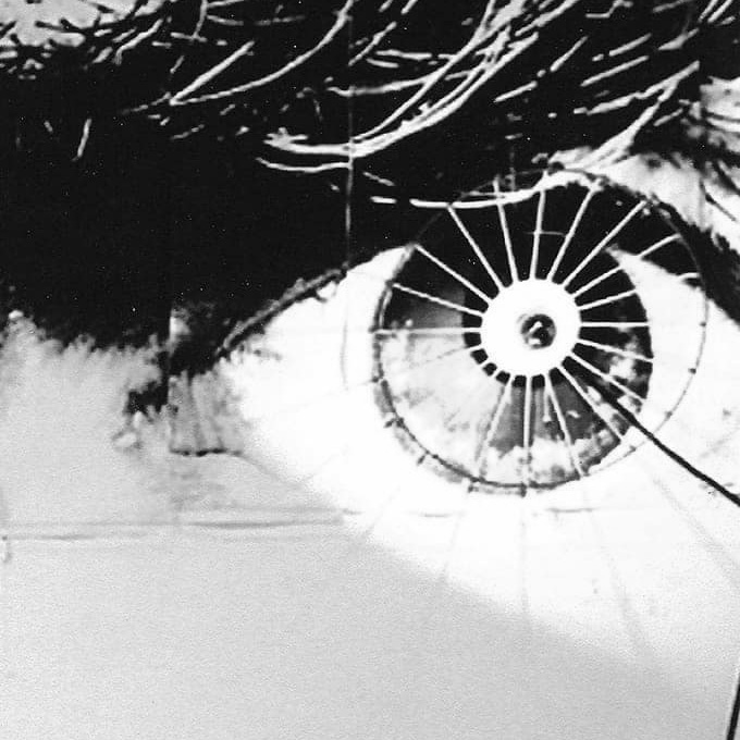 Eye detail from Find Budman